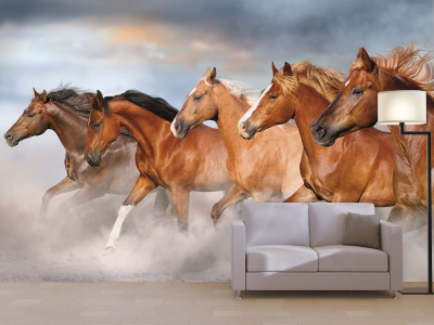 Бесшовная фреска «Дикий ветер»