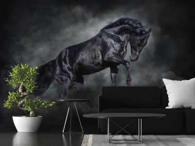 Бесшовная фреска «По ту сторону горизонта»