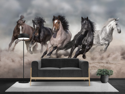 Бесшовная фреска «Свобода в движении»