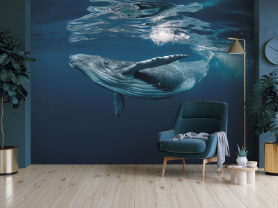 Бесшовная фреска «Горбатый кит»