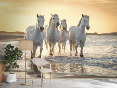 Бесшовная фреска «Свобода камаргу»