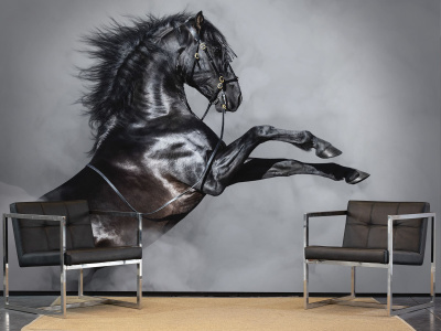 Бесшовная фреска «Грозный Мустанг»