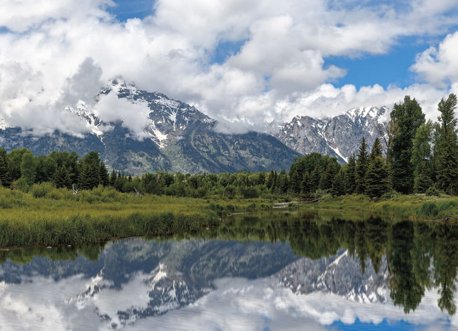 Бесшовная фреска «Гранд-Титон: гармония природы»