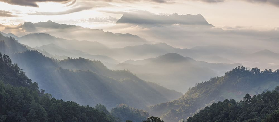 Бесшовная фреска «Национальный парк Кэнгкрачан»