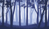 Бесшовная фреска «Туман лес панорама»