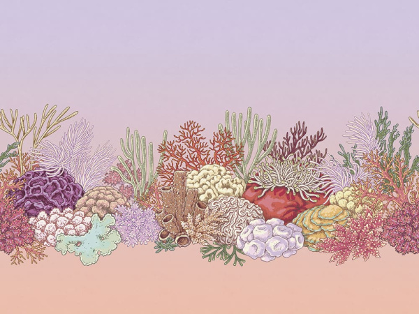 Бесшовная фреска «Океан чудес»