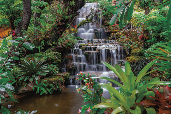 Бесшовная фреска «Зелёный рай у водопада Фуиписиа» Бесшовная фреска «Зелёный рай у водопада Фуиписиа»