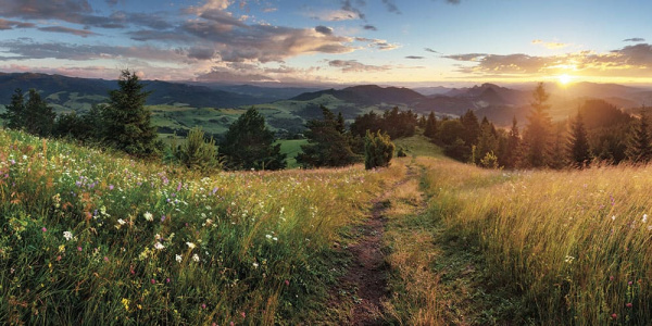Бесшовная фреска «Летний пейзаж» Бесшовная фреска «Летний пейзаж»