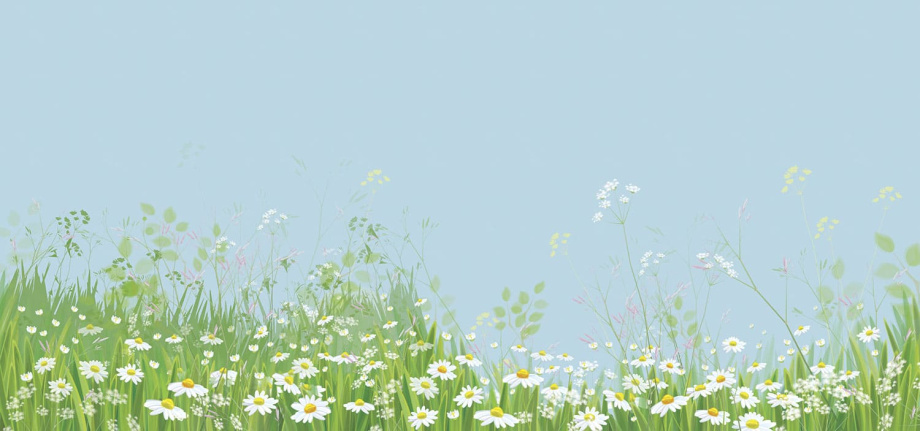 Бесшовная фреска «Ромашковое поле»