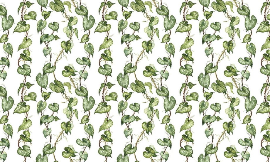 Бесшовная фреска «Листья лианы»
