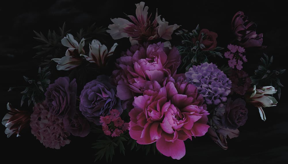 Бесшовная фреска  «Пионы в полночь»