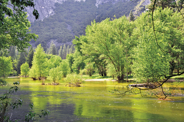 Бесшовная фреска «Пейзаж Национального парка Йосемити»