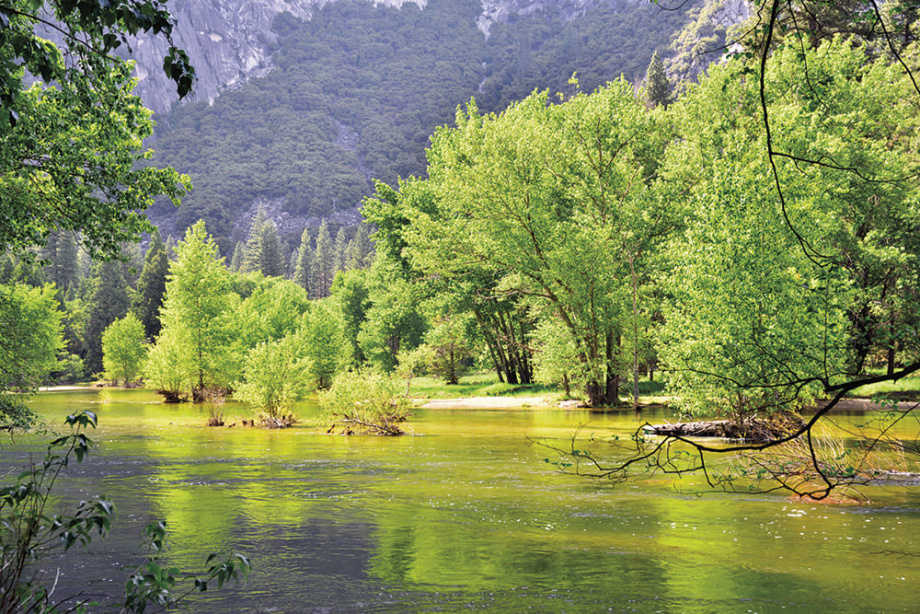 Бесшовная фреска «Пейзаж Национального парка Йосемити»
