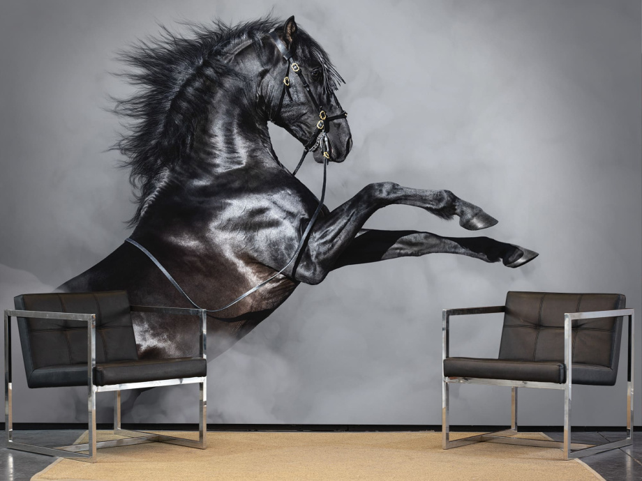 Бесшовная фреска «Грозный Мустанг»