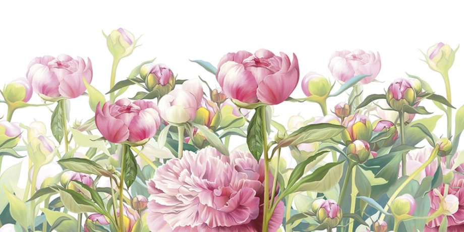 Бесшовная фреска  «Розовые пионы»