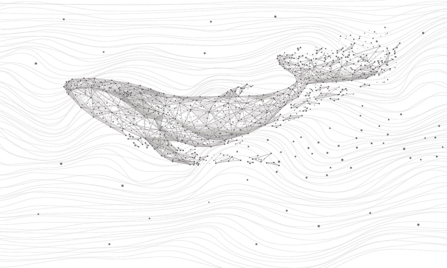 Бесшовная фреска «Созвездие кит»