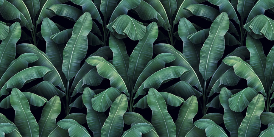 Бесшовная фреска «Банановые листья»