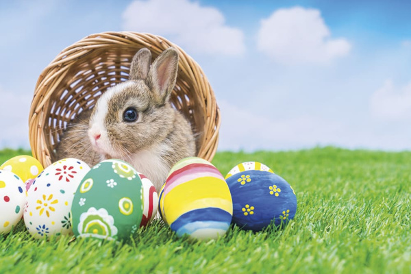 Бесшовная фреска «Кролик»