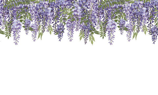 Бесшовная фреска  «Шёпот глицинии»