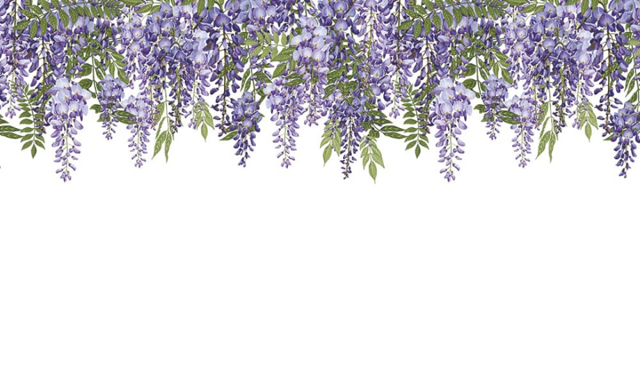 Бесшовная фреска  «Шёпот глицинии»