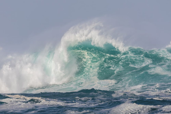 Бесшовная фреска «Морская волна»